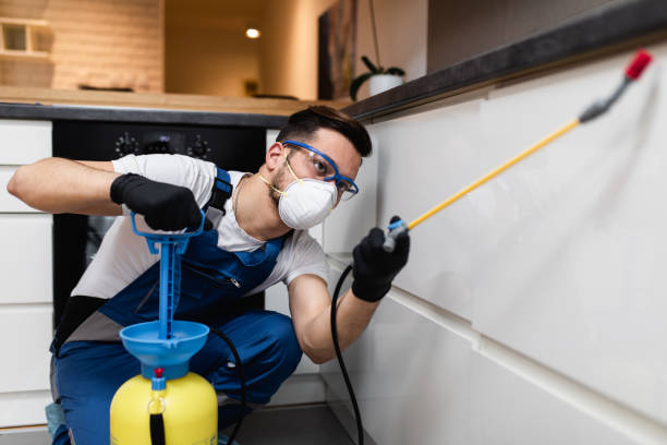 Best Pest Removal Services  in Carteret, NJ