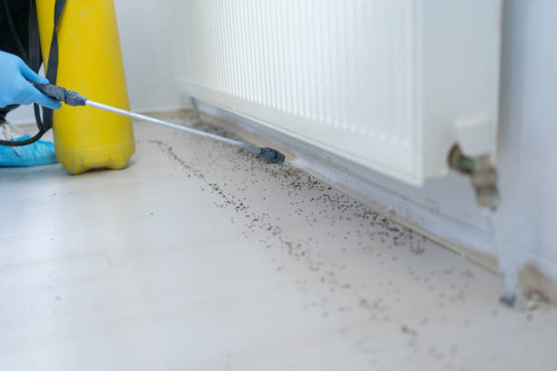 Best Pest Inspection Near Me  in Carteret, NJ